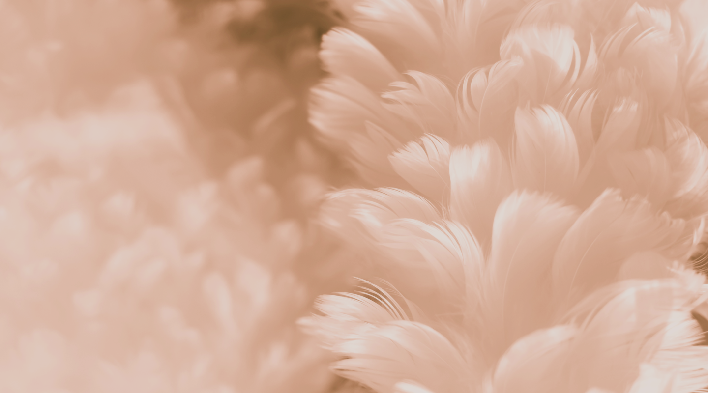 Discover wardrobe storage packages and pricing at The Closet Valet, Dubai’s first dedicated luxury storage solution for fashion collectors.